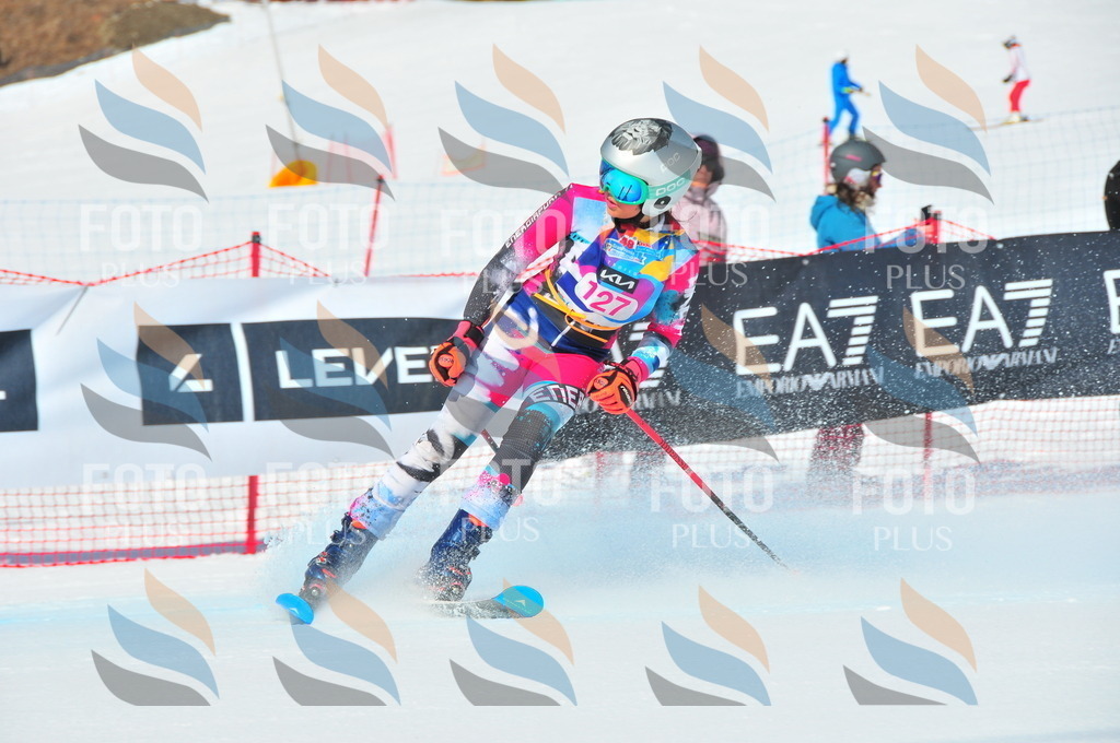 DSC_4842 | holidayphoto