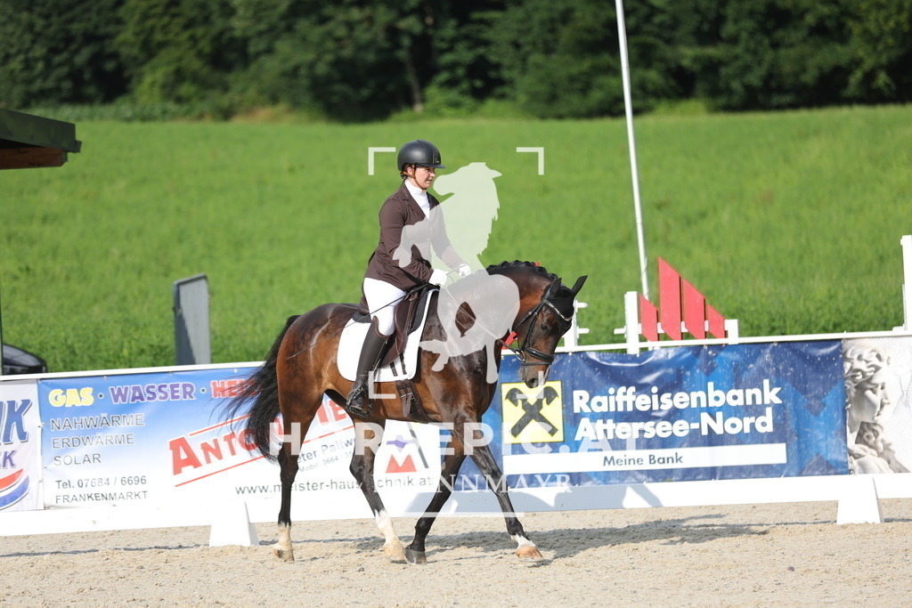 0P6A8521 | Willkommen bei Brunnmayr - Design & Fotografie – Ihrem Spezialisten für Reitturniere und Pferdeveranstaltungen in Oberösterreich, Salzburg und Bayern! Seit über 17 Jahren sind wir leidenschaftlich dabei.