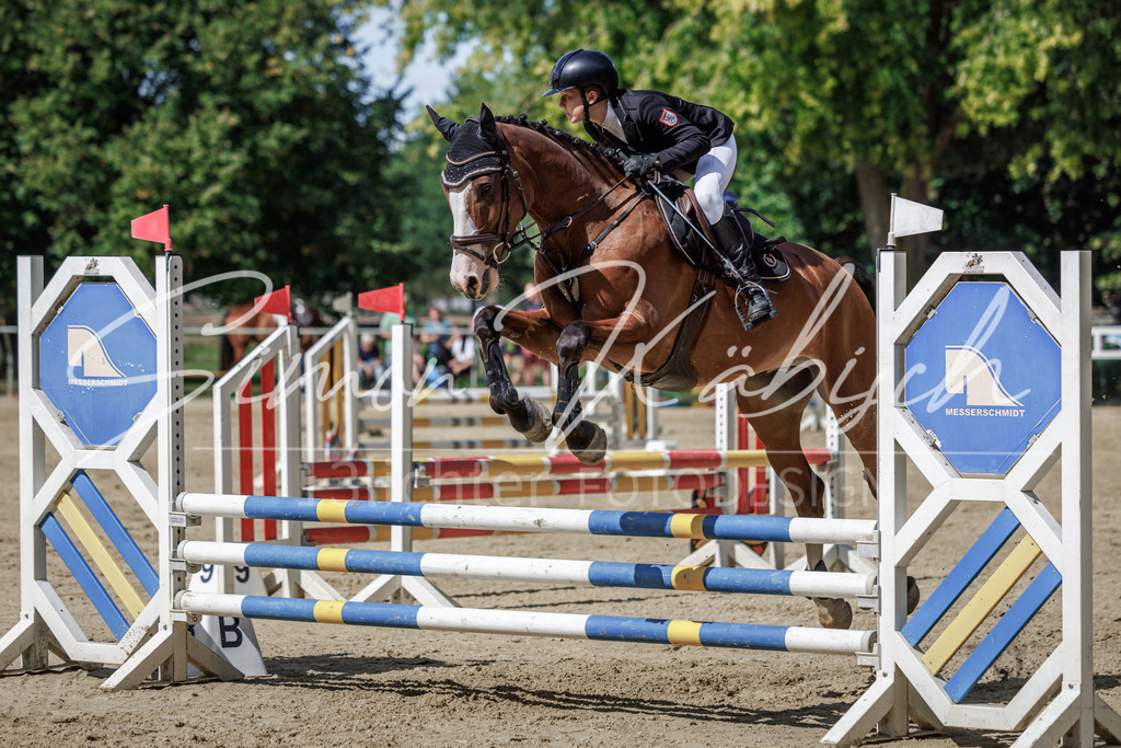 20260905-_3LI8677 | Tierfotografie Pferde, Hunde, Katzen, Haustiere.
Turnierfotografie Reitturniere, Reiten, Springreiten, Dressur in Hanau, dem Main-Kinzig-Kreis und dem Rhein-Main- Gebiet um Frankfurt