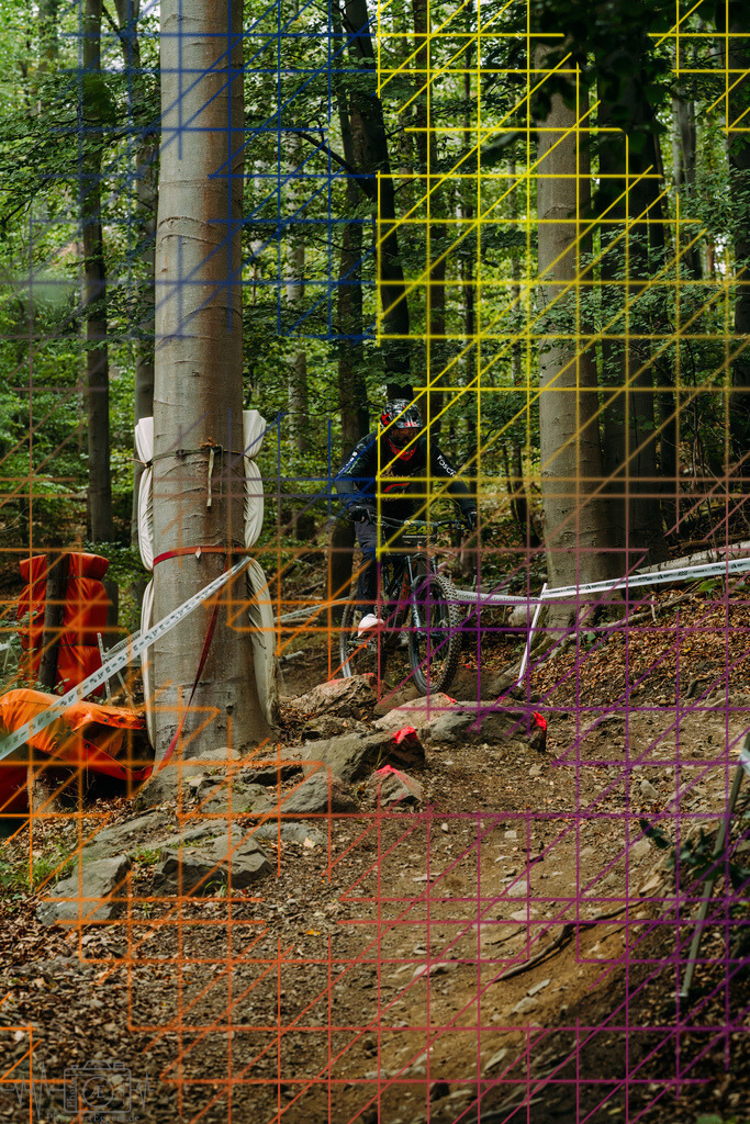 PAE-2070 | Einzigartige Fotokunst für dein Zuhause: Entdecke hochwertige Wandbilder, edle Prints und emotionale Motive von Wildlife, Natur und Landschaften - Realisiert mit Pictrs.com