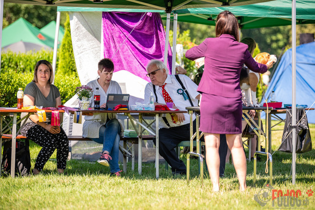 Dogshow CACIB Sonntag in Aarau | Dogshow CACIB Sonntag in Aarau. 25.06.2023 Foto: LeoWyden
