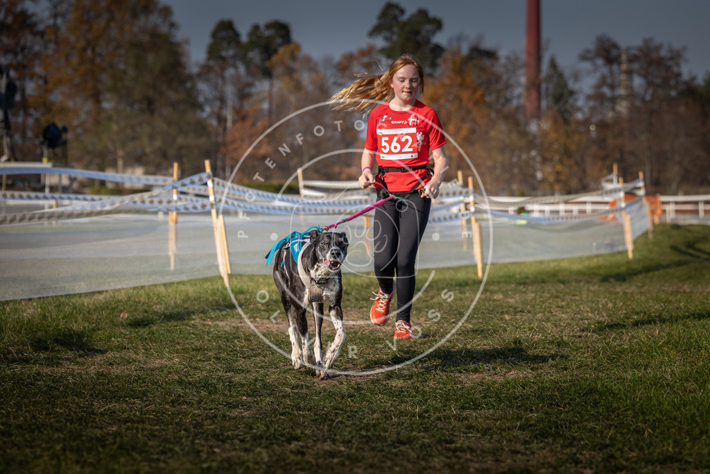 CaniXpix_0L8A9433 | Hundefotografie, Tierfotograf, Pfotenfotografie, Fotoshooting Hund, Hunde Portrait, Hundesport, Hundeportraits, Heideshooting, Hunde, Sportfotograf, Hundefotograf, Turnierhundsport, THS,  - Realisiert mit Pictrs.com