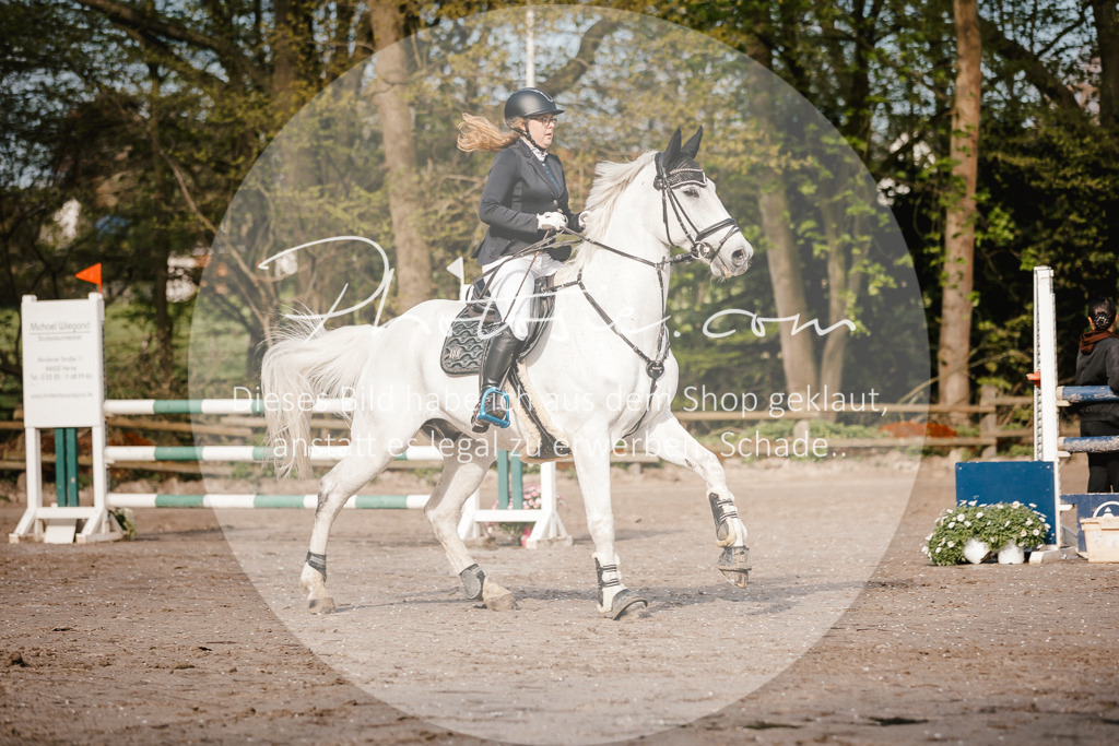 3I6A3476 | Stimmungsvolle Portraits und Reitsportfotografie im Ruhrgebiet und im Münsterland.

Pferdefotografie, Hundefotografie, Tierfotografie, Reportagen, Portraits von Tier und Mensch, Turnierfotografie in Bochum, Recklinghausen, Marl, Haltern am See, Dülmen.. - Realisiert mit Pictrs.com