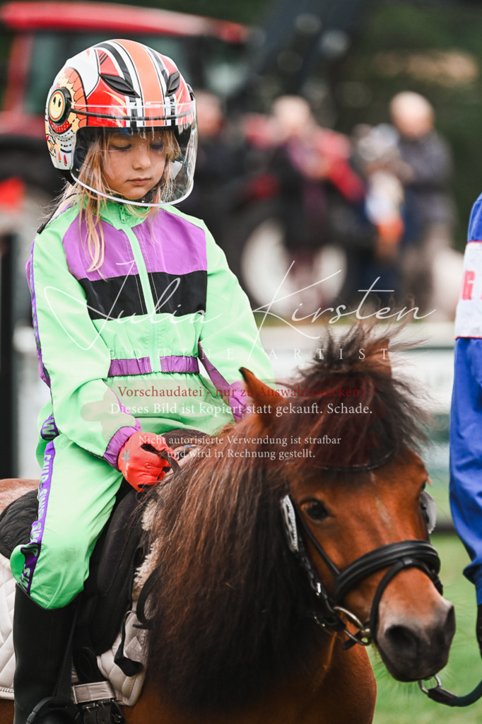 DSC_7628 | Pferde- und Turnierfotografie in Westsachsen. Pferdeportraits, Auftragszeichnungen und intuitive Kunst.