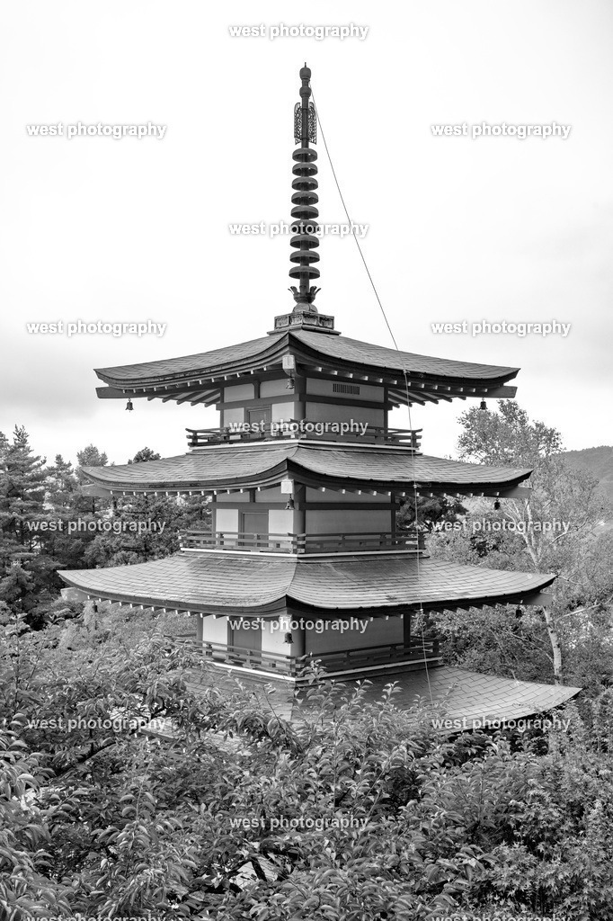 Ch_reit_ - JPN 2025 sw | west photography - Realisiert mit Pictrs.com