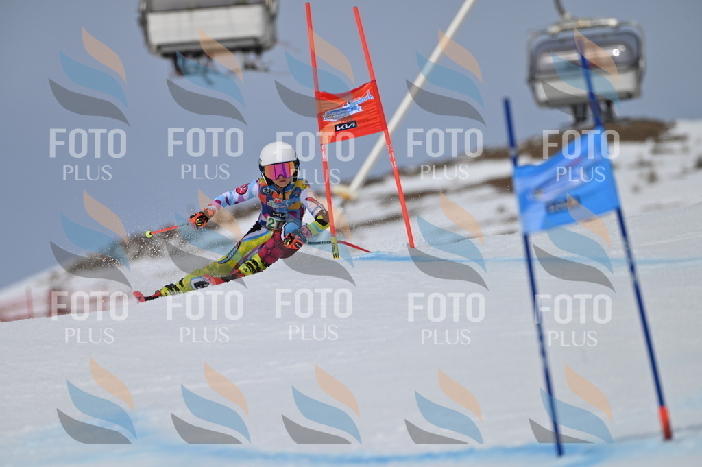 BGV_5539 | holidayphoto