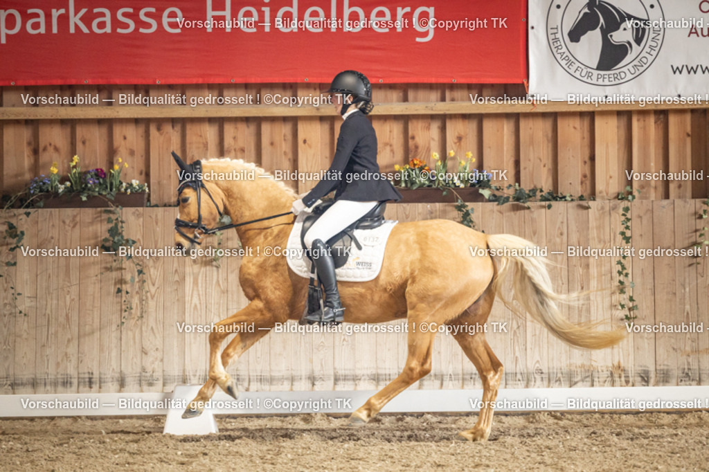 _D5A1276 | Emotionale Pferde- & People-Fotografie rund um Heidelberg, Leimen & Umgebung. Natürliche Fotos von Pferd, Mensch & Familie. Jetzt Termin sichern!