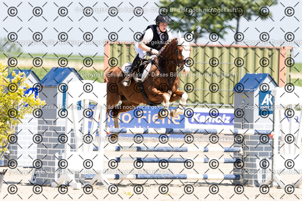 CL5A3248 | Emilia Reinking Fotografie - Realisiert mit Pictrs.com