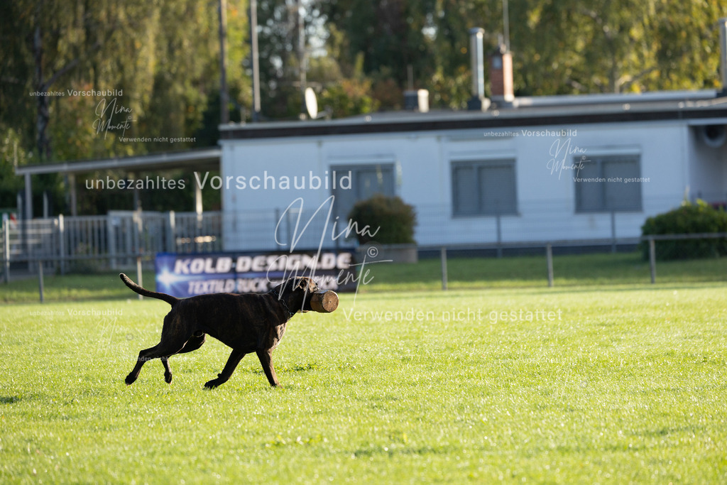 _16A6166 | Einzigartige Fotos von Hunden & Menschen –Actionfotos, Portraits, Vereinsaufnahmen & Paarshootings – authentisch, lebendig & mit Herz.