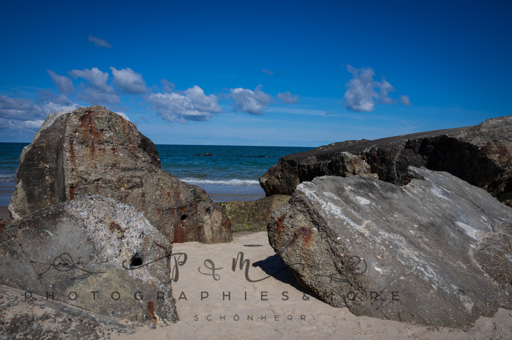 _Sommer2022-0596 | Photographies and more - Realisiert mit Pictrs.com