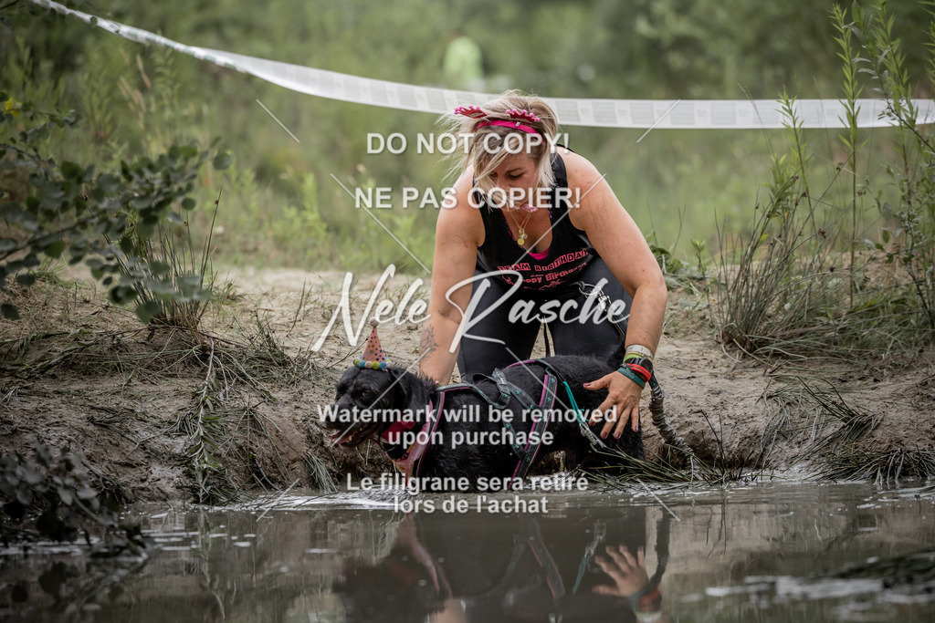nelerasche_so0800-0930_397 | nelerasche