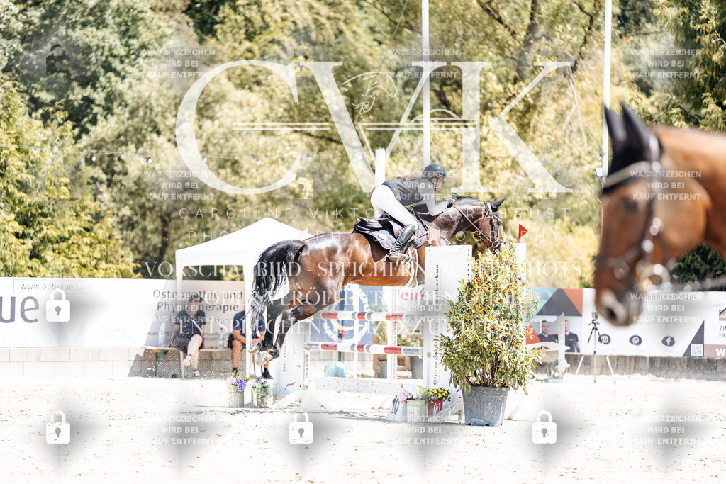 CK900424 | Turnierfotografie Pferdefotografie Trier Rheinland-Pfalz Pferdesport Reitsport Tierfotografie Sportfotografie Pferdevideo Pferdevideografie Equestrianvideography equestrianphotography  - Realisiert mit Pictrs.com