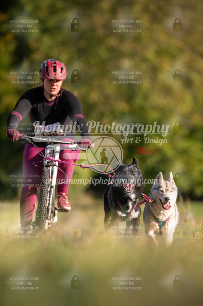 CDLBDB_15_10_2023_Dimanche-380 | mompixphotography