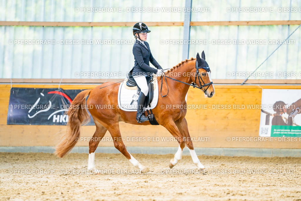 DSC06817 | Pferdegrafie