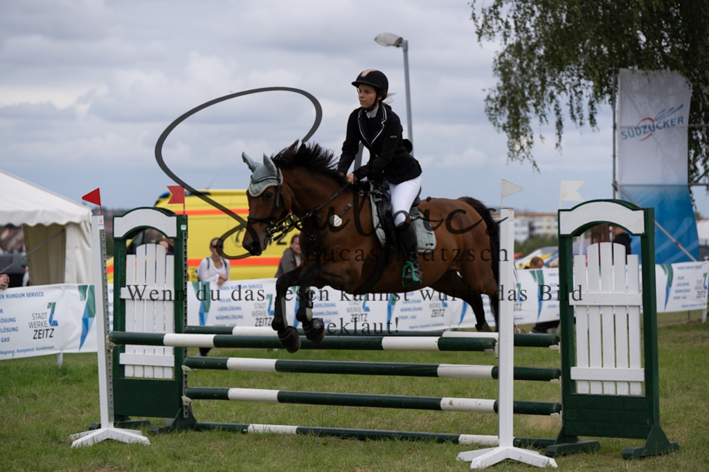 A7V05575 | Pferdefotograf