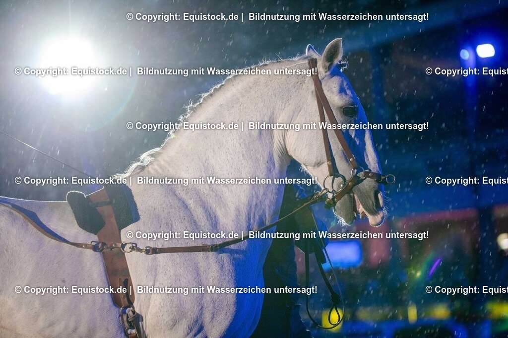 20250606_Lange-Pferdenacht_1132 | Foto: Thomas Hartig