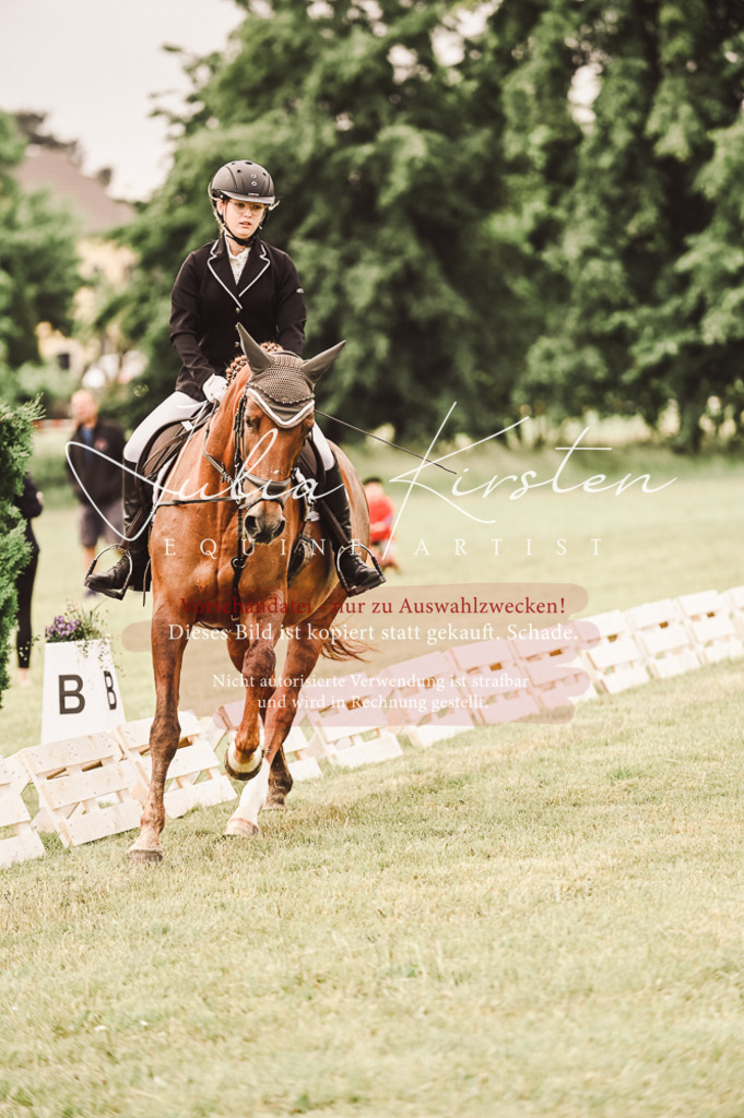 DSC_4830 | Pferde- und Turnierfotografie in Westsachsen. Pferdeportraits, Auftragszeichnungen und intuitive Kunst.