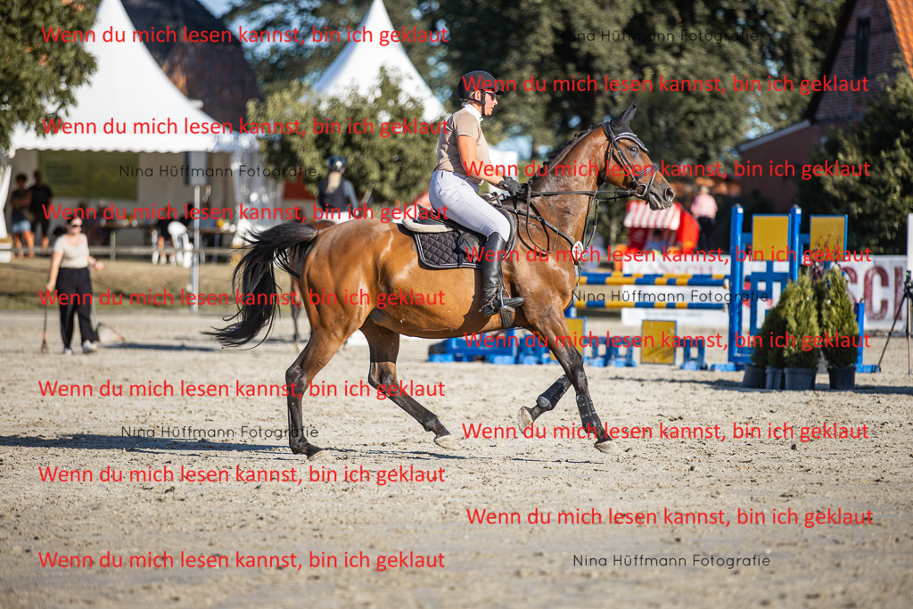 BK1A7779 | Turnierbilder Turnierfotos Nina Hüffmann Turnierfotografie Pferdefotografie Tierzeichnung Haustierzeichnung Pferdezeichnung Hundezeichnung Videograf  - Realisiert mit Pictrs.com