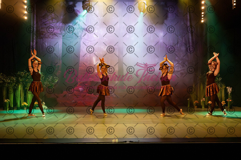 Ballettaufführung-35 | Bildershop Lem'n Entertainment - Realisiert mit Pictrs.com