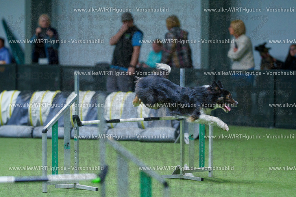 @allesWIRTHgut_Tierfotografie - www.allesWIRTHgut.de - 2604251102-7R500945 | Professionelle Tierfotografie in Mönchengladbach von Daniel Wirth (allesWIRTHgut). Liebevolle & natürliche Bilder von Hunden & Katzen für unvergessliche Erinnerungen.