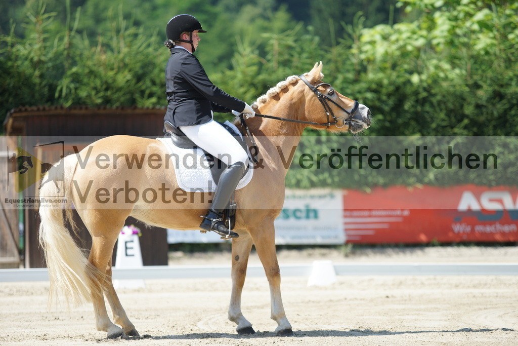 DSC02211 | equestrian-live-com