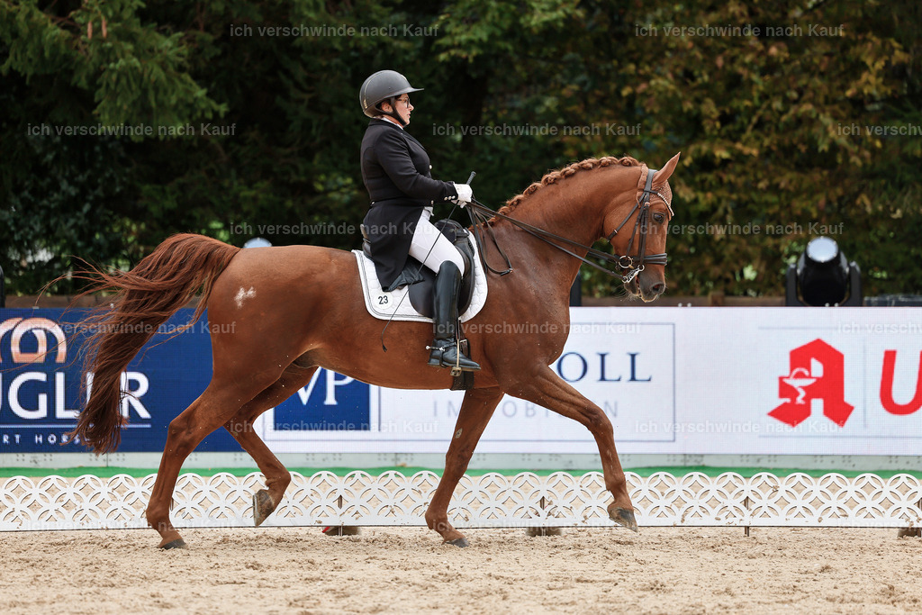 07-023-DRESSUR  S___  -StoibPH-5037 | working equitationturnier fotograf videograf stoibphotography marixx film working equitation deutschland reitsport turnierfotografie eventfotografie equestrian events