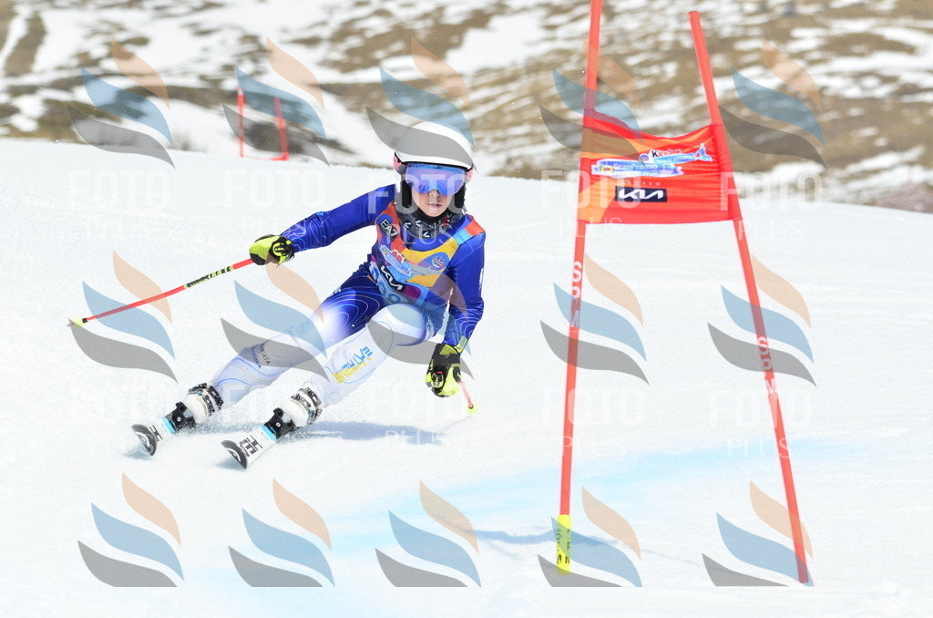 _ELE2516 | holidayphoto