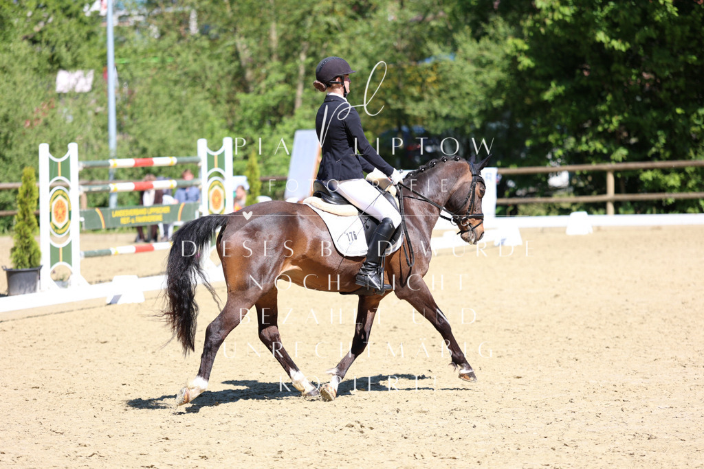 IMGS1132 | pl-fotografie