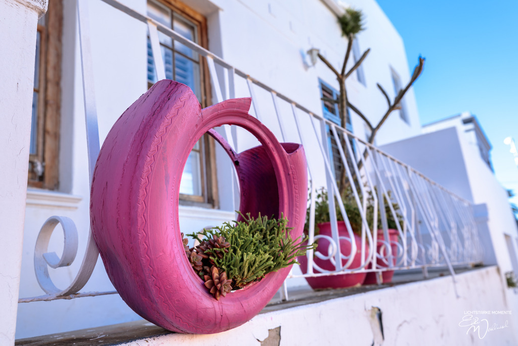 20230927-154950 SOUTHAFRIKA_-1 | Herzlich willkommen auf meiner Seite! Ich bin Elke Wallnisch, Deine Fotografin für lichtstarke Momente. Der Name steht für alles, was mich mit der Fotografie verbindet: Das Licht und seine machtvolle Wirkung auf eine Situation oder unsere Stimmung - Realisiert mit Pictrs.com