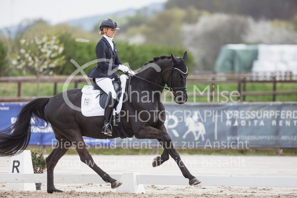250416_Dressurpferde-L-209 | Deine schönsten Turniermomente als professionelle Fotos! Entdecke hochwertige Pferdesport-Fotografie im Online-Shop. Jetzt Fotos finden & bestellen!