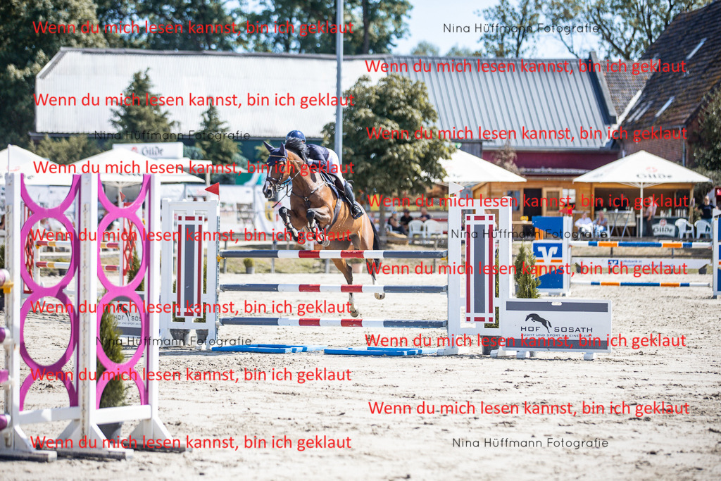BK1A6411 | Turnierbilder Turnierfotos Nina Hüffmann Turnierfotografie Pferdefotografie Tierzeichnung Haustierzeichnung Pferdezeichnung Hundezeichnung Videograf  - Realisiert mit Pictrs.com