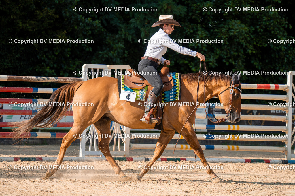 ZH100847 | dv-media-shop - Realisiert mit Pictrs.com