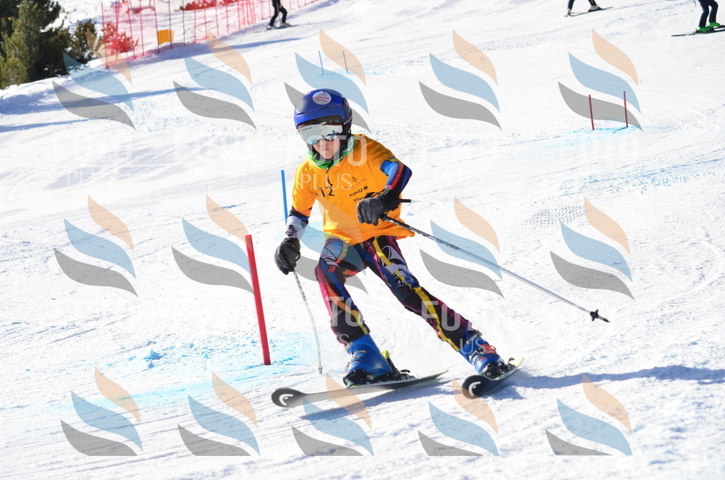 C6295 | holidayphoto