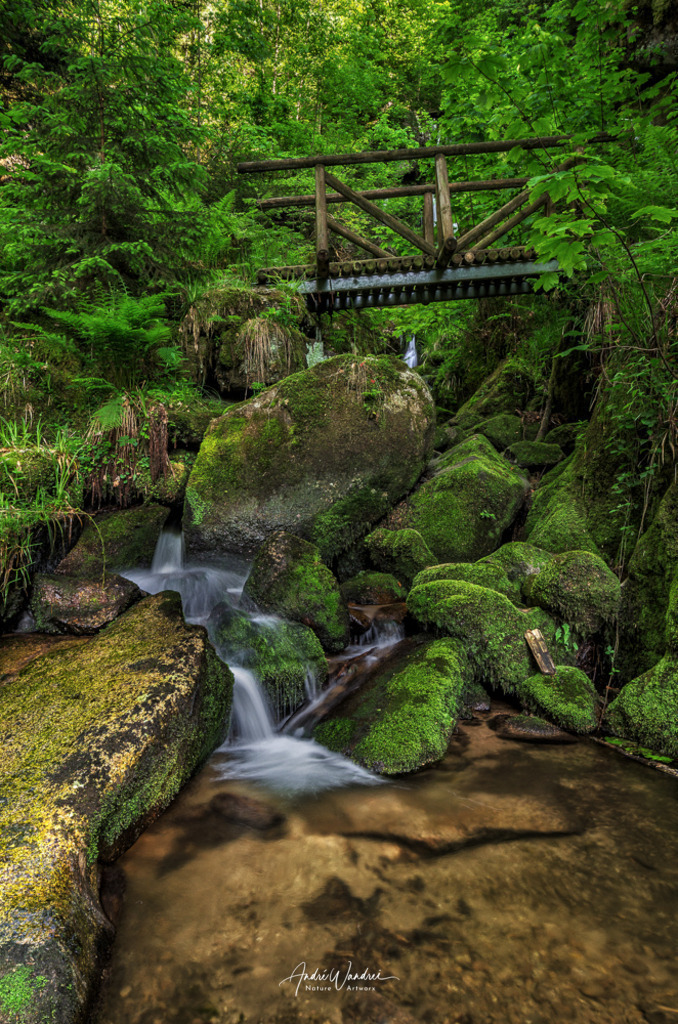 Der Weg zu anderen Seite | Andre Wandrei - Nature Artworx - Realisiert mit Pictrs.com