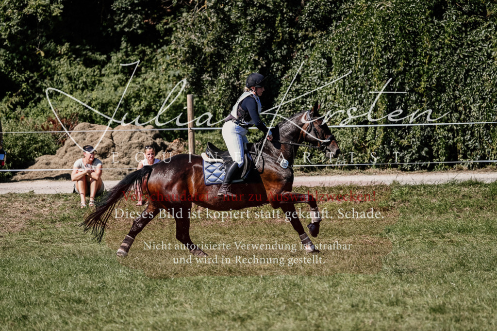 DSC_1852 | Pferde- und Turnierfotografie in Westsachsen. Pferdeportraits, Auftragszeichnungen und intuitive Kunst.
