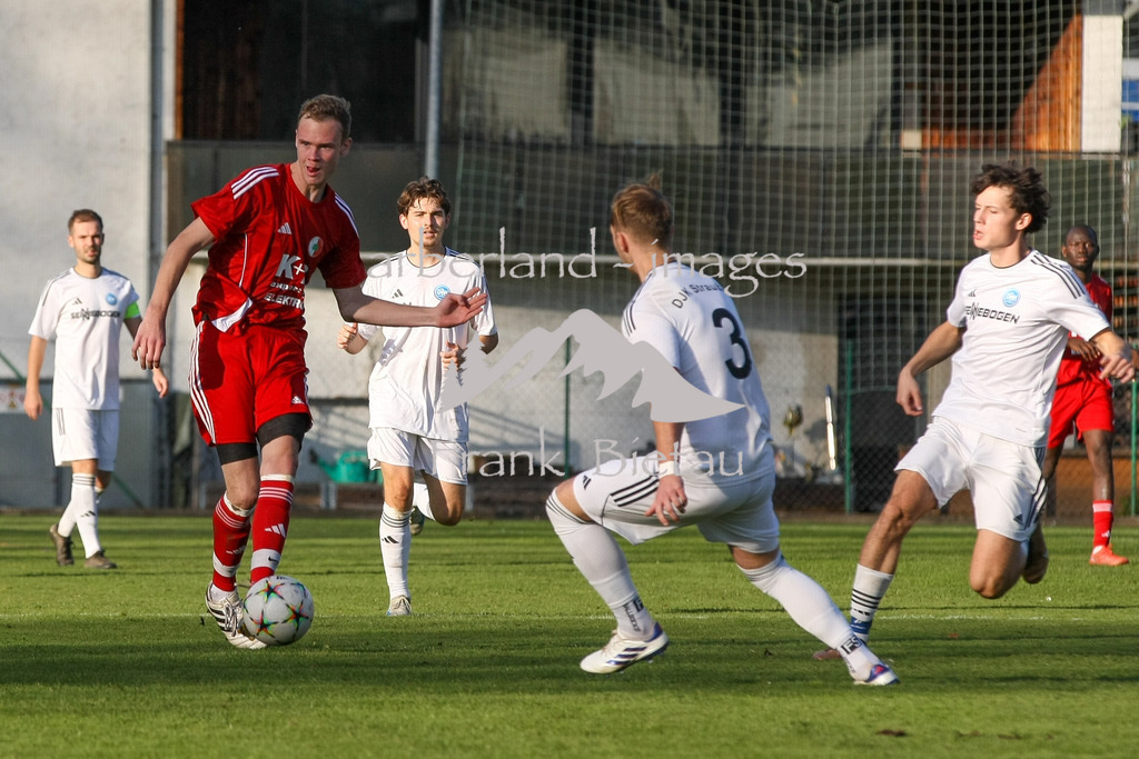 993T0015 | Lukas Süß