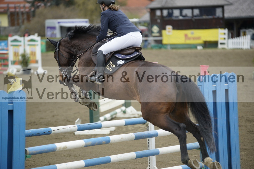 _DSC7113 | equestrian-live-com