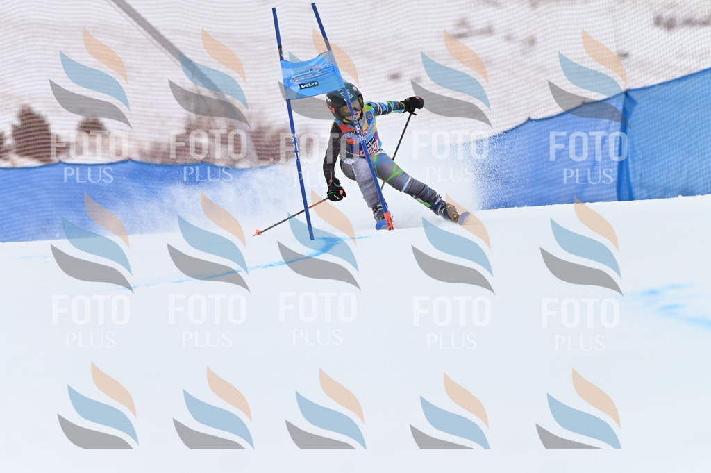 BGV_3205 | holidayphoto