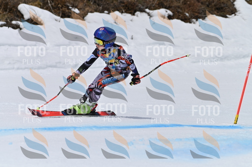 BGV_3901 | holidayphoto