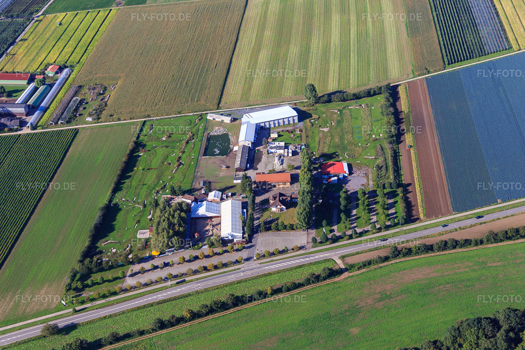 Luftbild: Fussballgolfpark Südpfalz auf dem Adamshof Kandel in Kandel im Bundesland Rheinland-Pfalz in Deutschland. Foto: IMG_072847.jpg vom 23.09.2014 durch Werner Riehm/FLY-FOTO.deWWW.FUSSBALLGOLFPARK-SUEDPFALZ.DE
