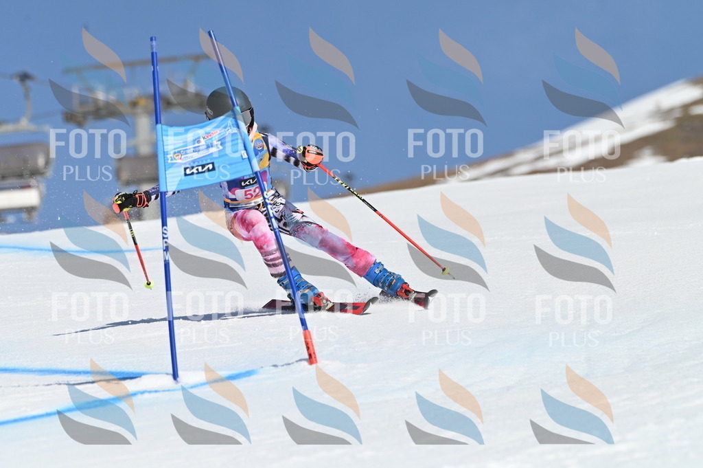 BGV_8571 | holidayphoto