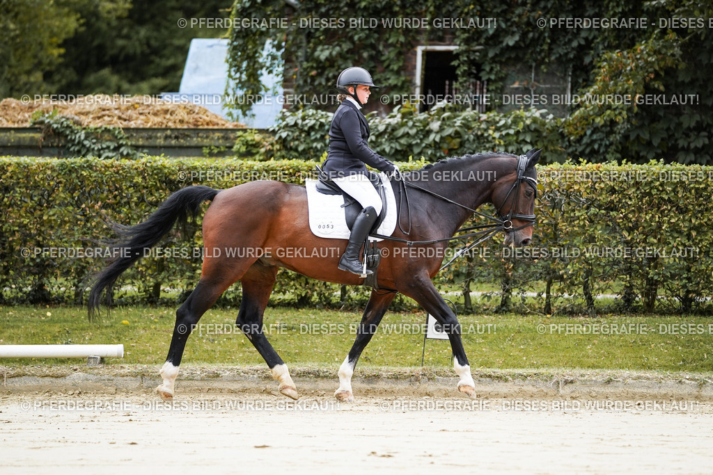 DSC04483 | Pferdegrafie