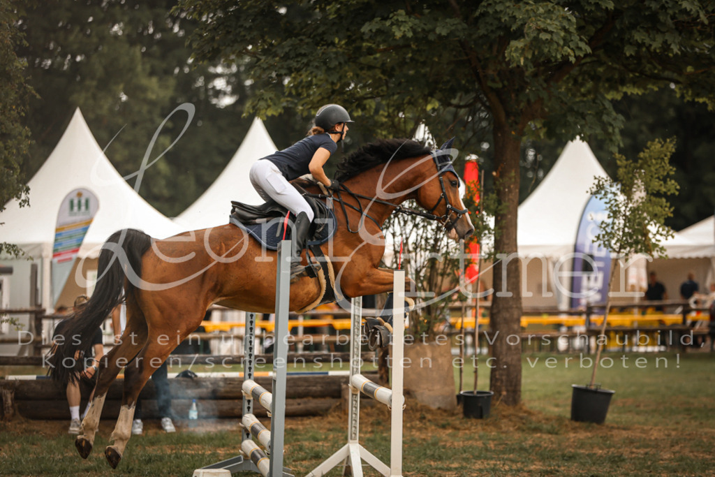 16.SaSpE00247 | Leoni Ertmer Photography - Realisiert mit Pictrs.com