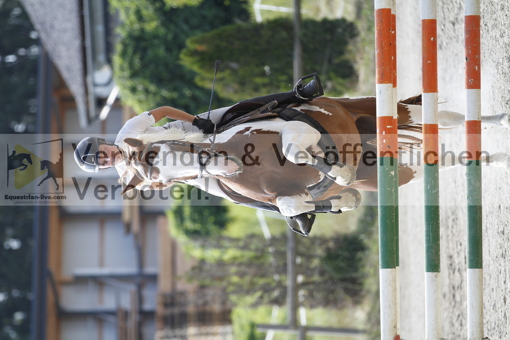 _MG_8735 | equestrian-live-com