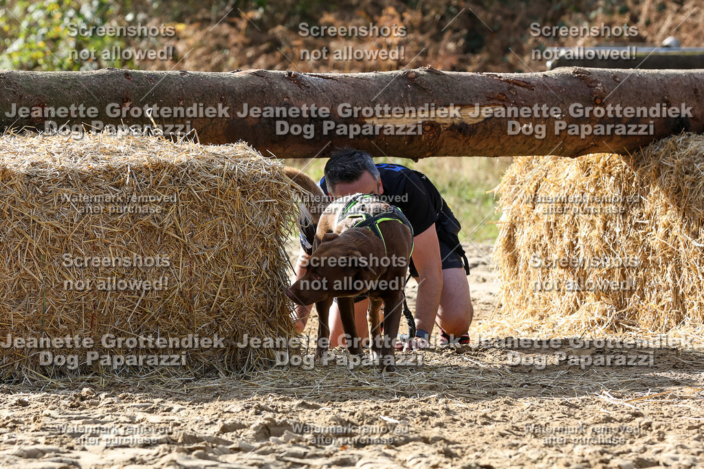 Dog Paparazzi - Strongdog 10-25-5902 | Dog Paparazzi Jeanette Grottendiek Fotografie & Videografie - Realisiert mit Pictrs.com