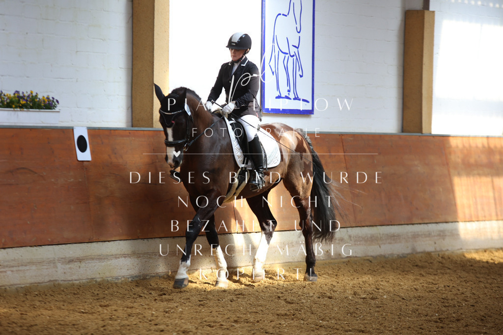 IMGT4985 | pl-fotografie