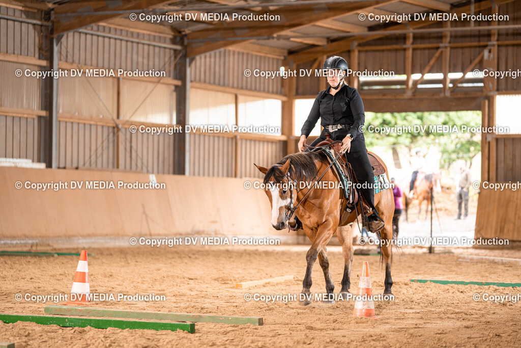 Losheim Tag 2-224 | dv-media-shop - Realisiert mit Pictrs.com