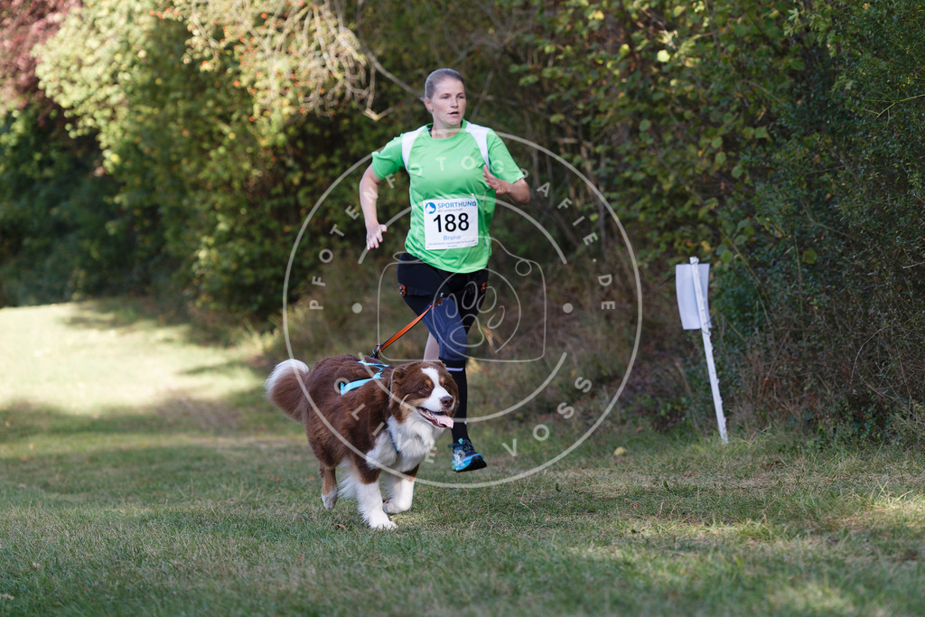 0L8A5763 | Hundefotografie, Tierfotograf, Pfotenfotografie, Fotoshooting Hund, Hunde Portrait, Hundesport, Hundeportraits, Heideshooting, Hunde, Sportfotograf, Hundefotograf, Turnierhundsport, THS,  - Realisiert mit Pictrs.com