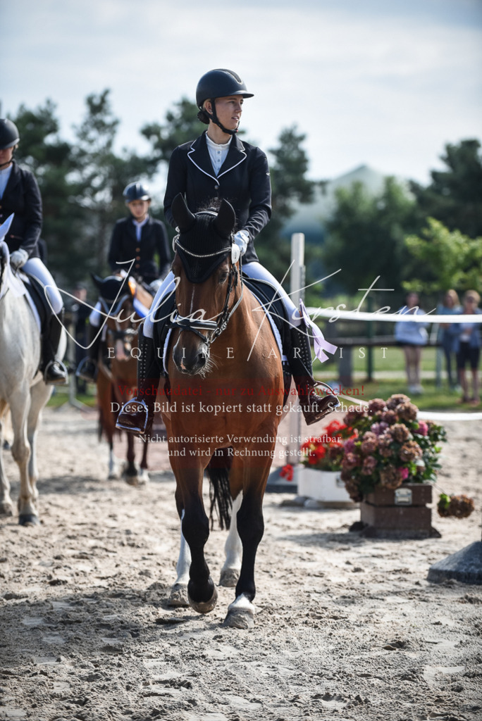 DSC_8726 | Pferde- und Turnierfotografie in Westsachsen. Pferdeportraits, Auftragszeichnungen und intuitive Kunst.