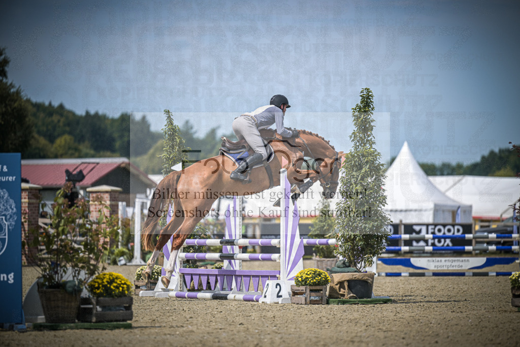 DOS_3821 | Entdecke hochwertige Reitturnierfotos von Foto Oger. Professionell, emotional und authentisch – jetzt Lieblingsmomente im Shop bestellen.Deutschlandweite Turnierfotografie. - Realisiert mit Pictrs.com